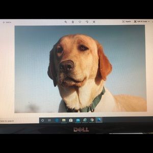 Meet your Posher, Douglas